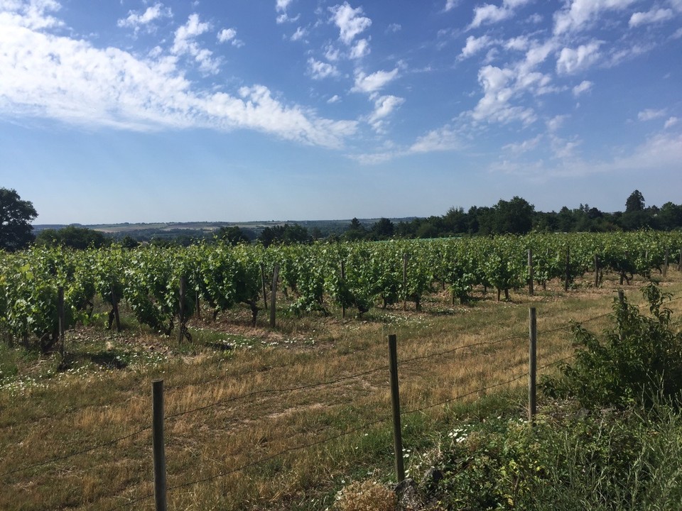 Frankreich - Bouchemaine - 