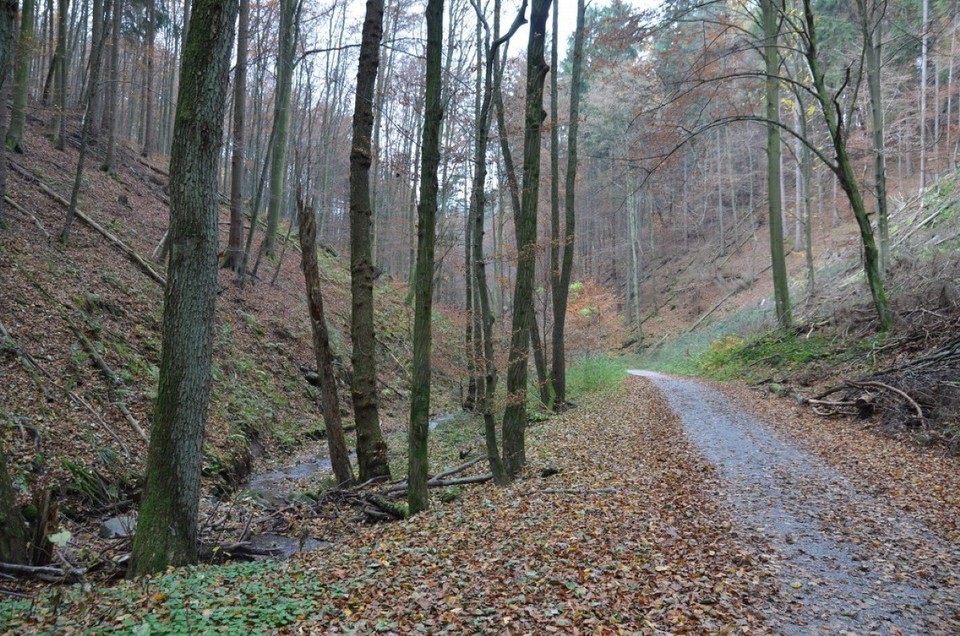 Deutschland - Johannesberg - 