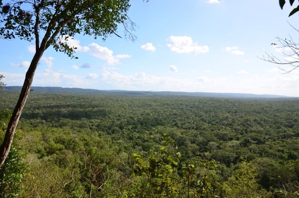 Guatemala - El Zotz - Aber wir haben es mit diesem Panoramabild versucht ....