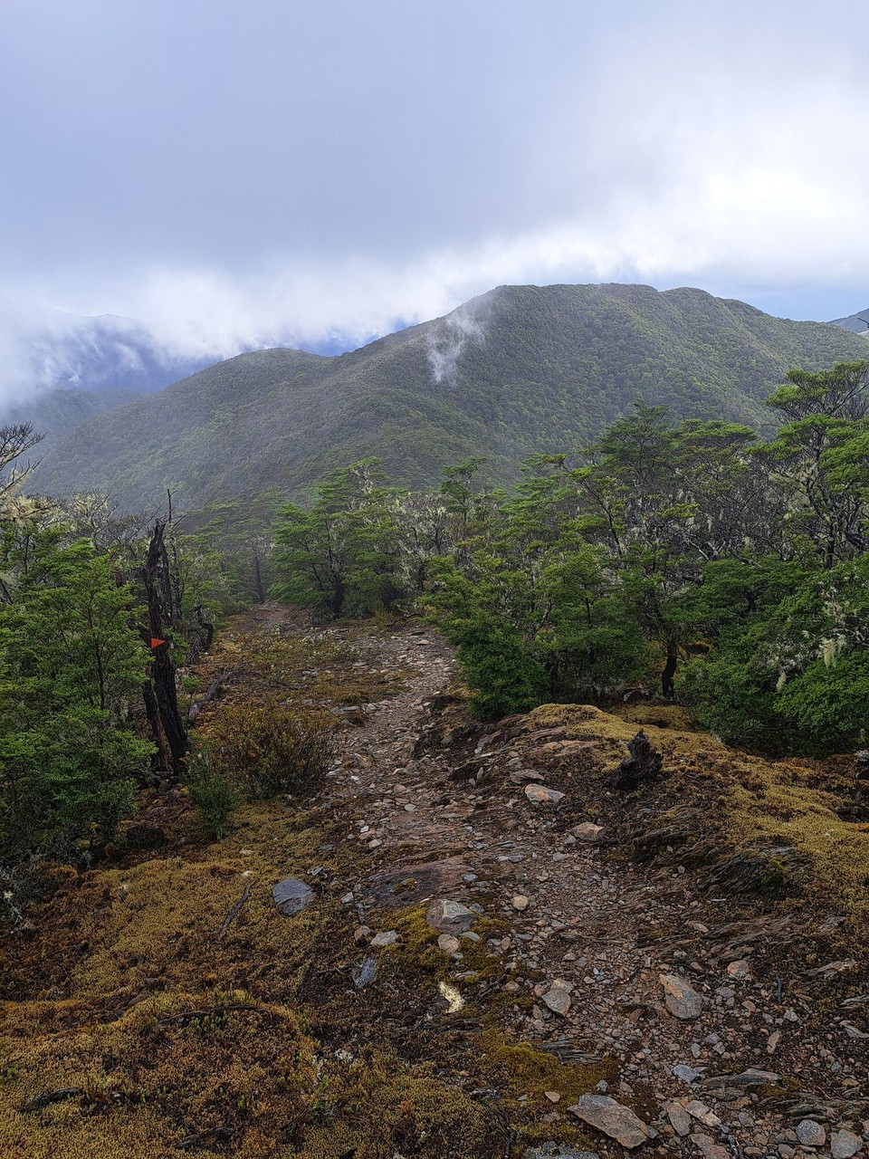 Neuseeland - unbekannt - 