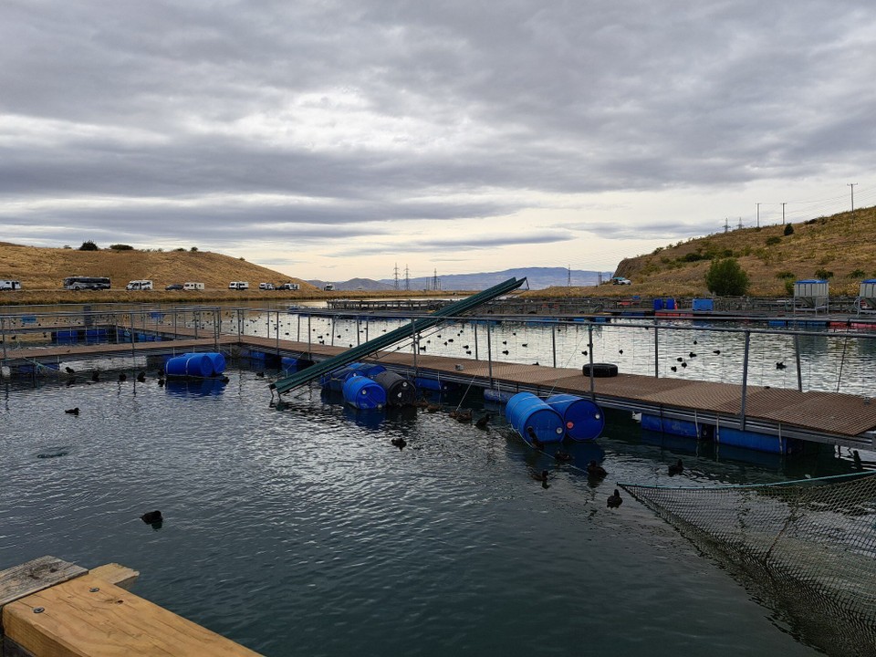 Neuseeland - Lake Ōhau - Salmon Farm 
