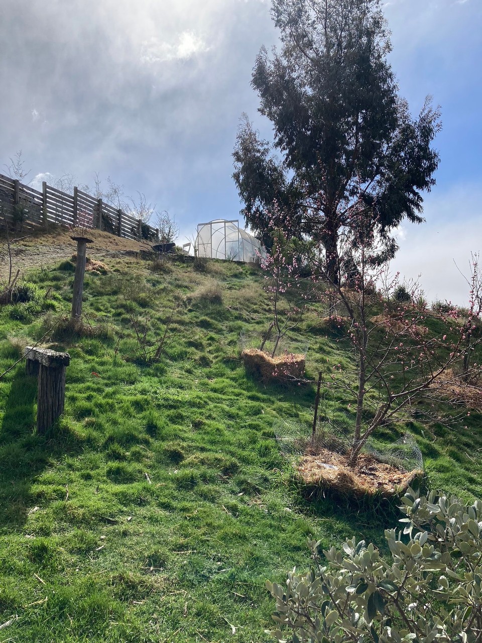 Neuseeland - Lake Hāwea - Heute steht mal ein bisschen Arbeit in Macs eigenem Garten an