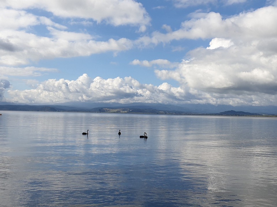 Neuseeland - Taupo - 
