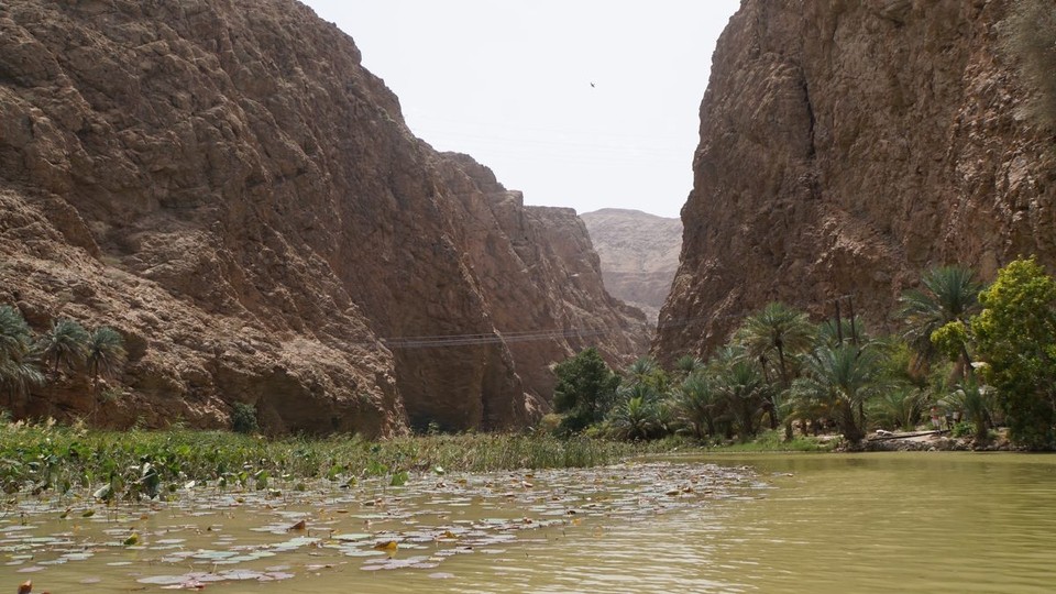 Oman -  - 
