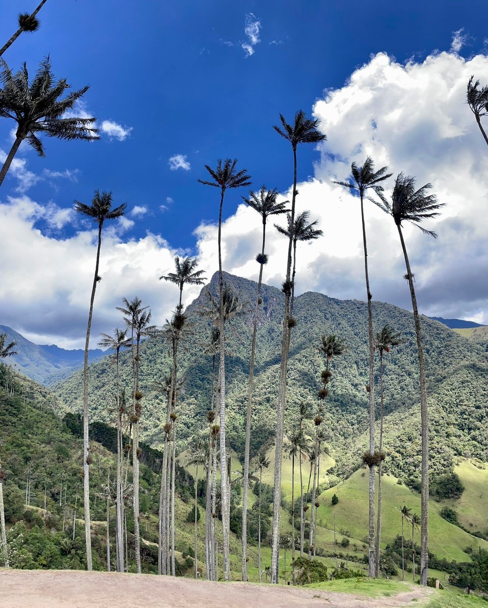Kolumbien - Salento - 