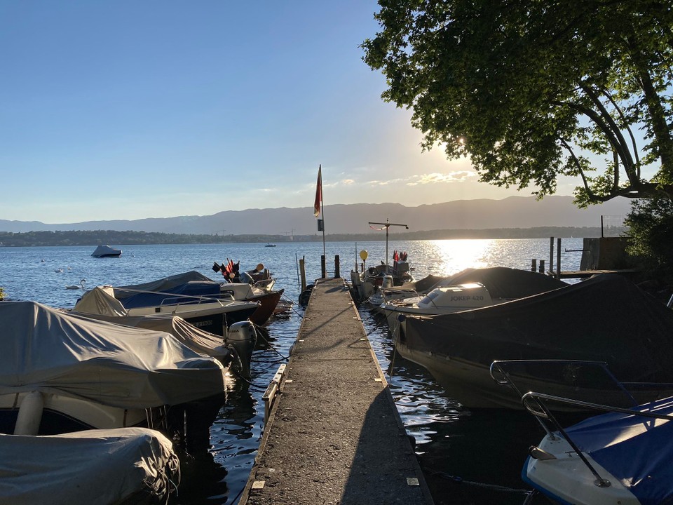 Schweiz - Vésenaz - Sonnenuntergang am See