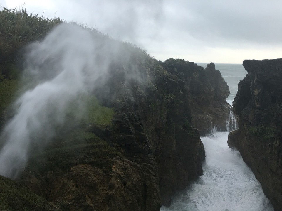 New Zealand - Paparoa National Park - 