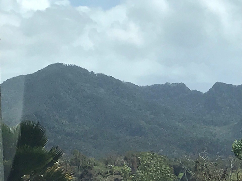Guadeloupe -  - 