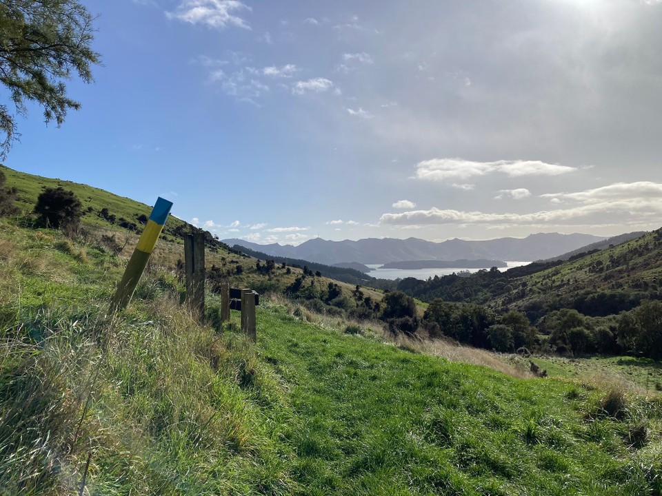 Neuseeland - Governors Bay - 