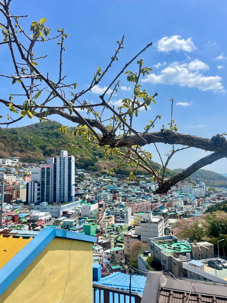 대한민국 - 부산광역시 - 3 Johr spöter simmer wieder in Busan gstrandet, damol simmer aber selber anegfahre 🚗 