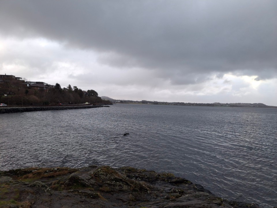 Norwegen - Hafrsfjord - 