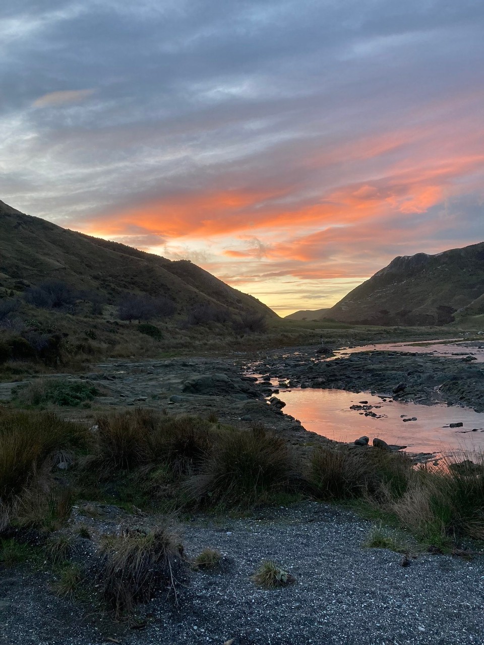 Neuseeland - Ward - Beim Fluss überqueren auch noch reingefallen 🤦🏻‍♀️ Pauline sagt noch: Achtung es ist rutschig, zack im nächsten Moment lieg ich auch schon 😂 dauert aber nicht lang liegt auch Pauline im Wasser 🙈 so kommt nur Monty trockenen Fußes zum Auto