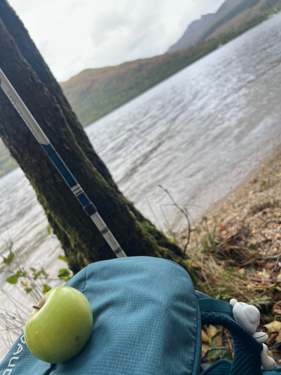 Vereinigtes Königreich - Stirling - Kleine Stärkung, dann geht’s weiter. 