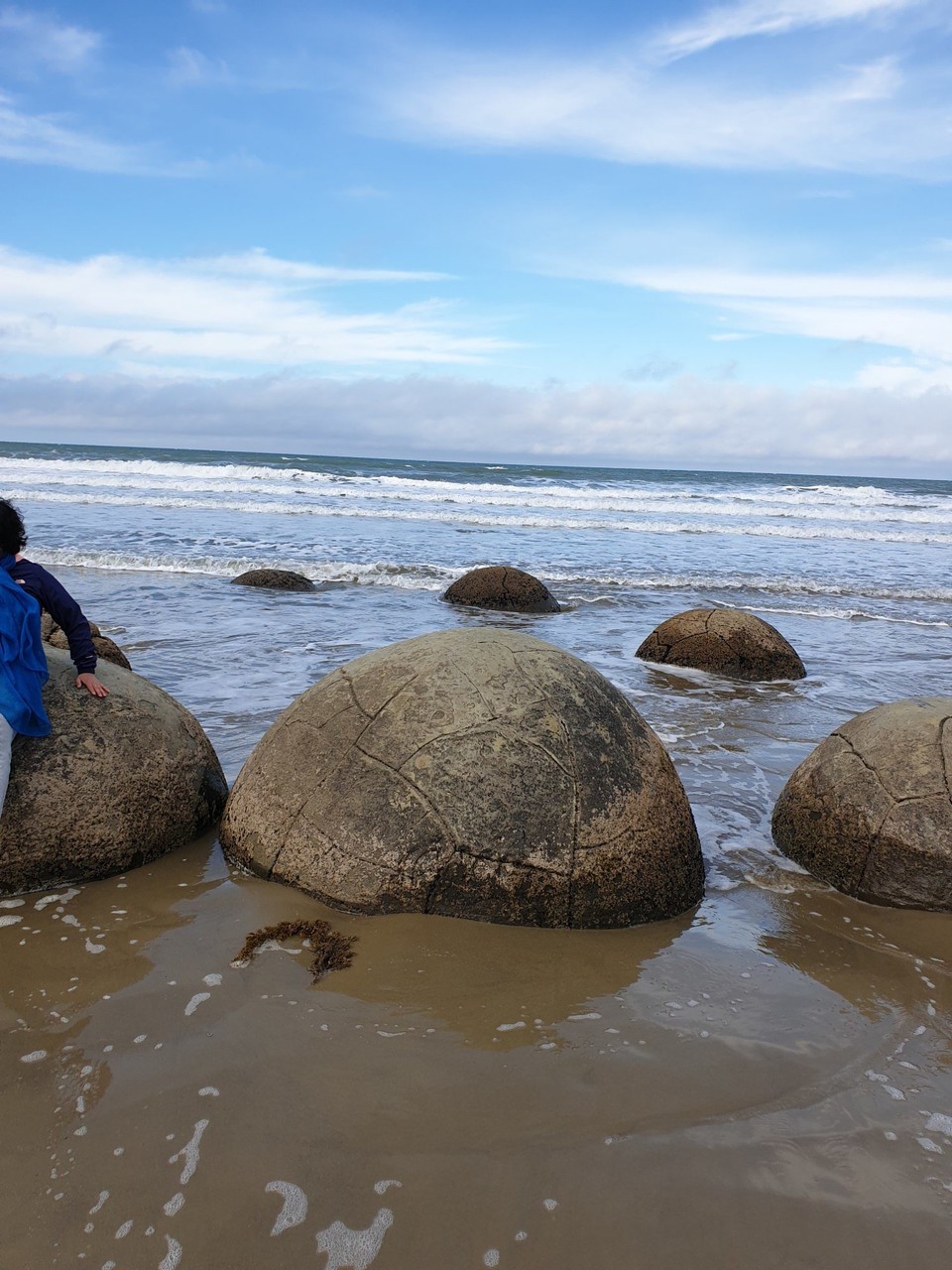 Neuseeland - Moeraki - 