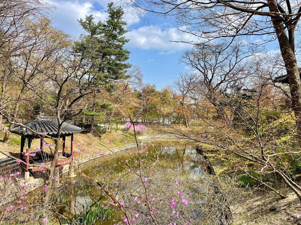 대한민국 - 서울특별시 - 