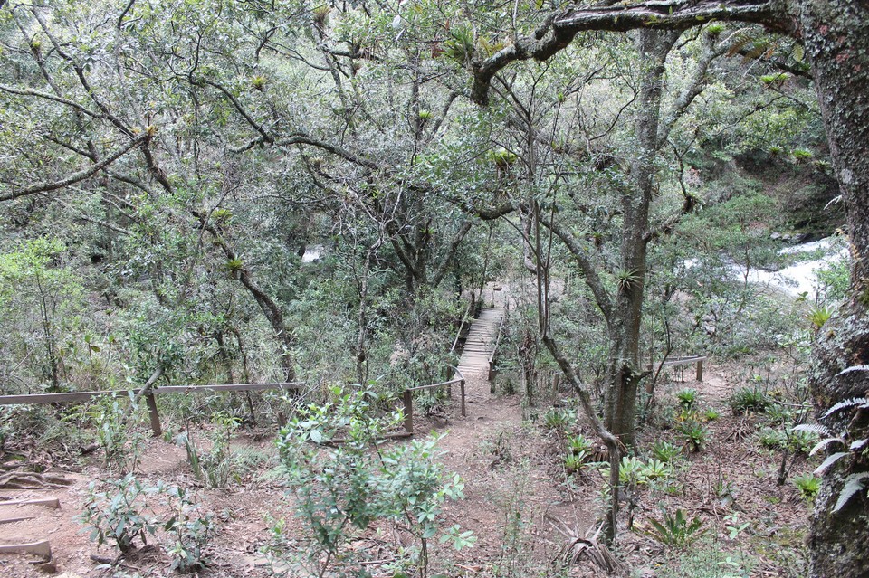 Kolumbien - Villa De Leyva - Der Weg zu Wasserfall Nummer 3
