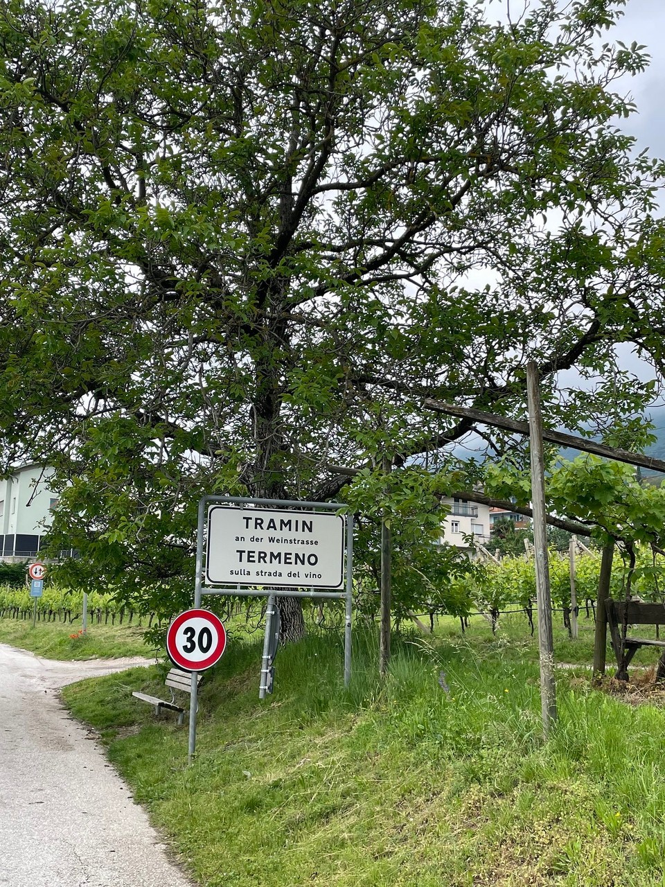 Italien - Tramin an der Weinstraße - Ja, von hier her kommt der Traminer. Extra nachgelesen, sofort hier und jetzt. Dank Ende von Roaming in der EU zückst du dein Smartphone und schaust nach. 