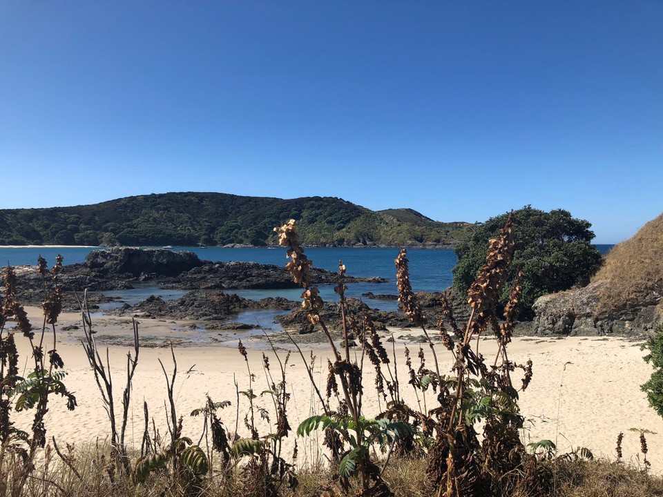 Neuseeland - Karikari Peninsula - Maitai Bay