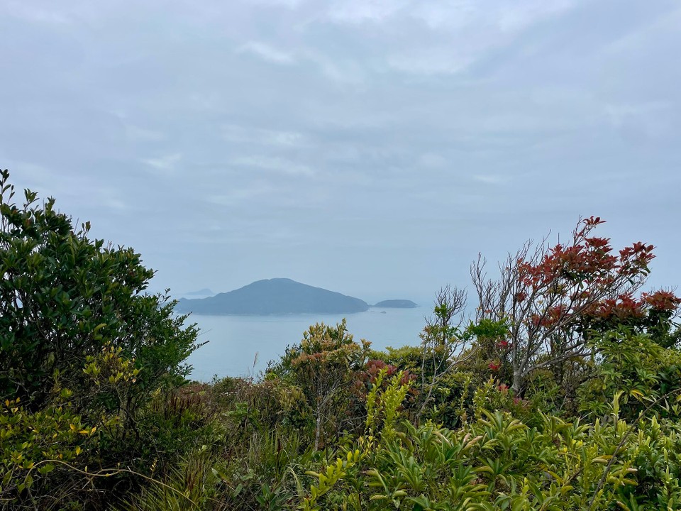 China - Hong Kong SAR - 