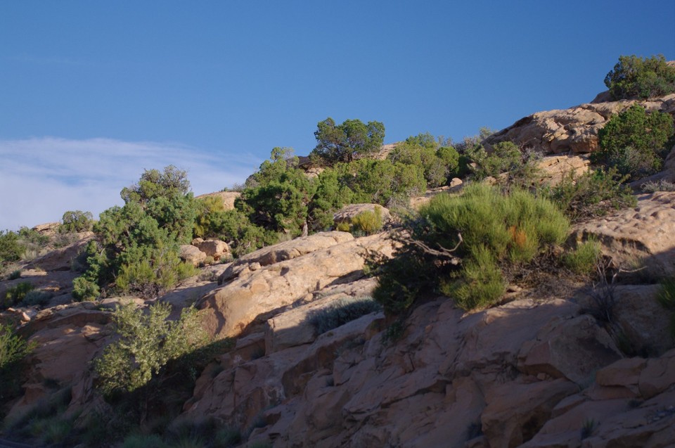 USA - Arches-Nationalpark - 