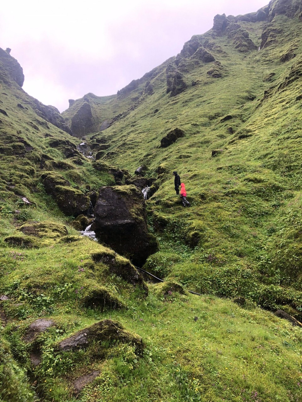 Island - Mýrdalshreppur - Schwupp. Schon sind sie da oben. Mir ist es zu steil und glitschig. Da hab ich Angst, nicht wieder runter zu kommen😬😬