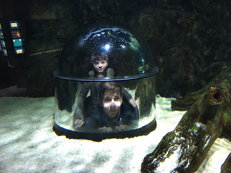 Dänemark - Billund - In der Taucherglocke.