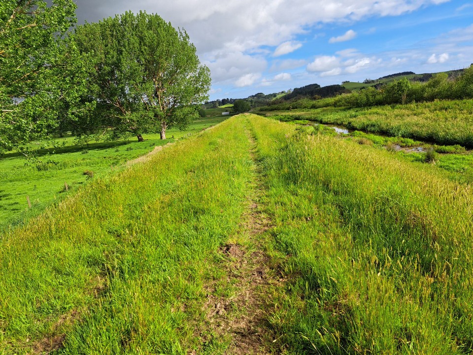 Neuseeland - Mercer - 