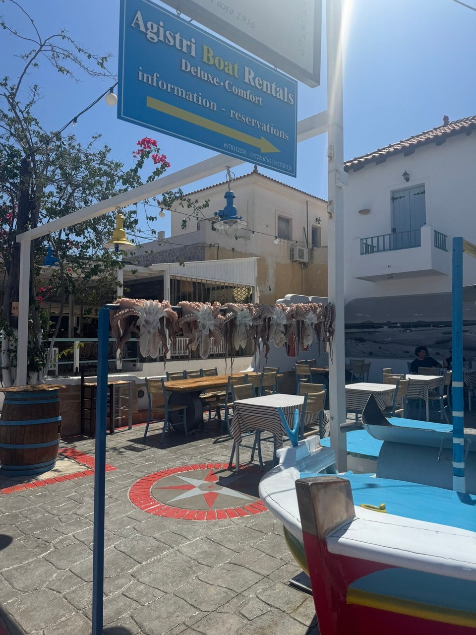 Greece - Agkistri - Just some squids hanging out to dry with the bees and wasps 