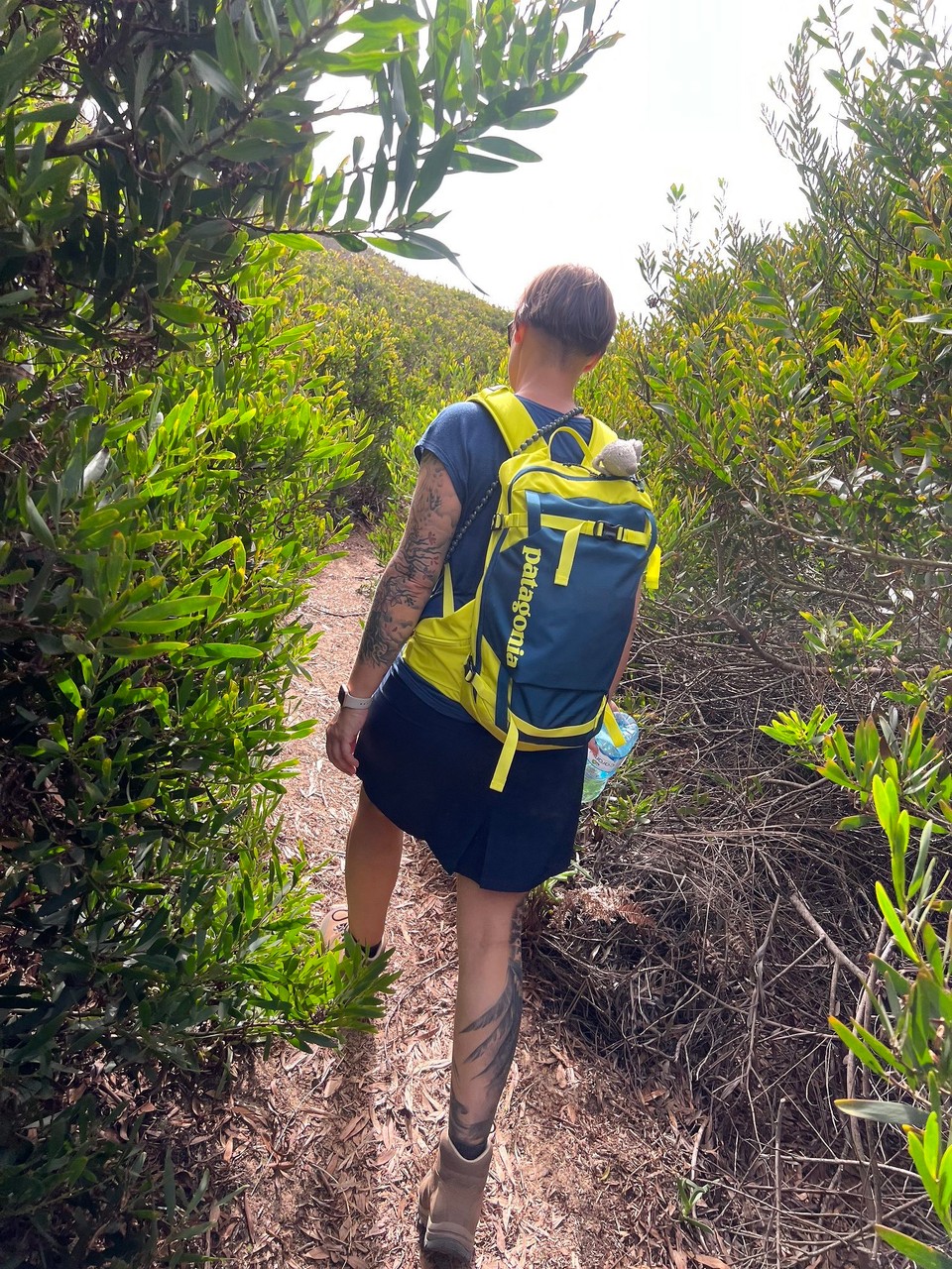 Portugal - Longueira-Almograve - 