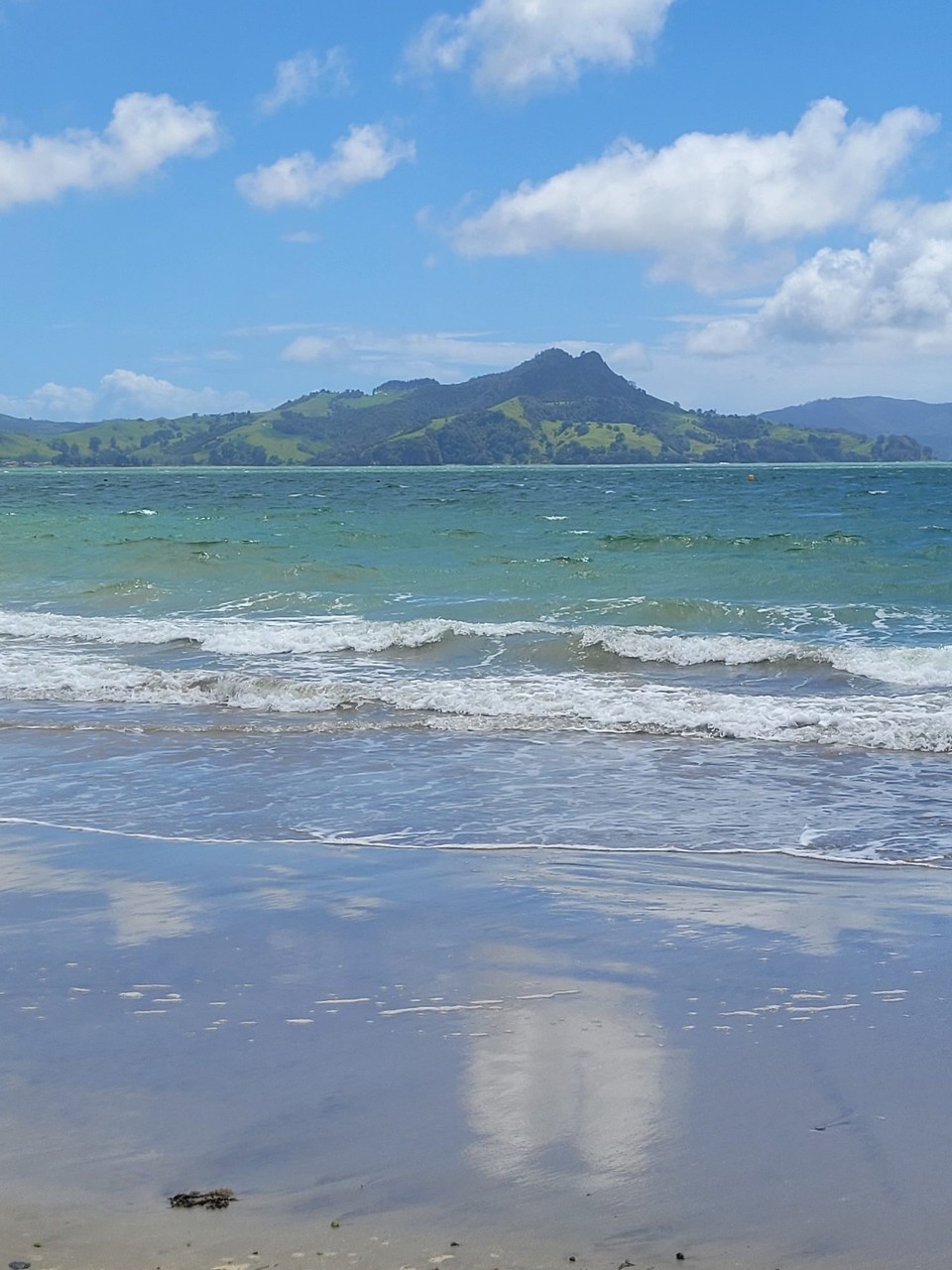 Neuseeland - Cooks Beach - 