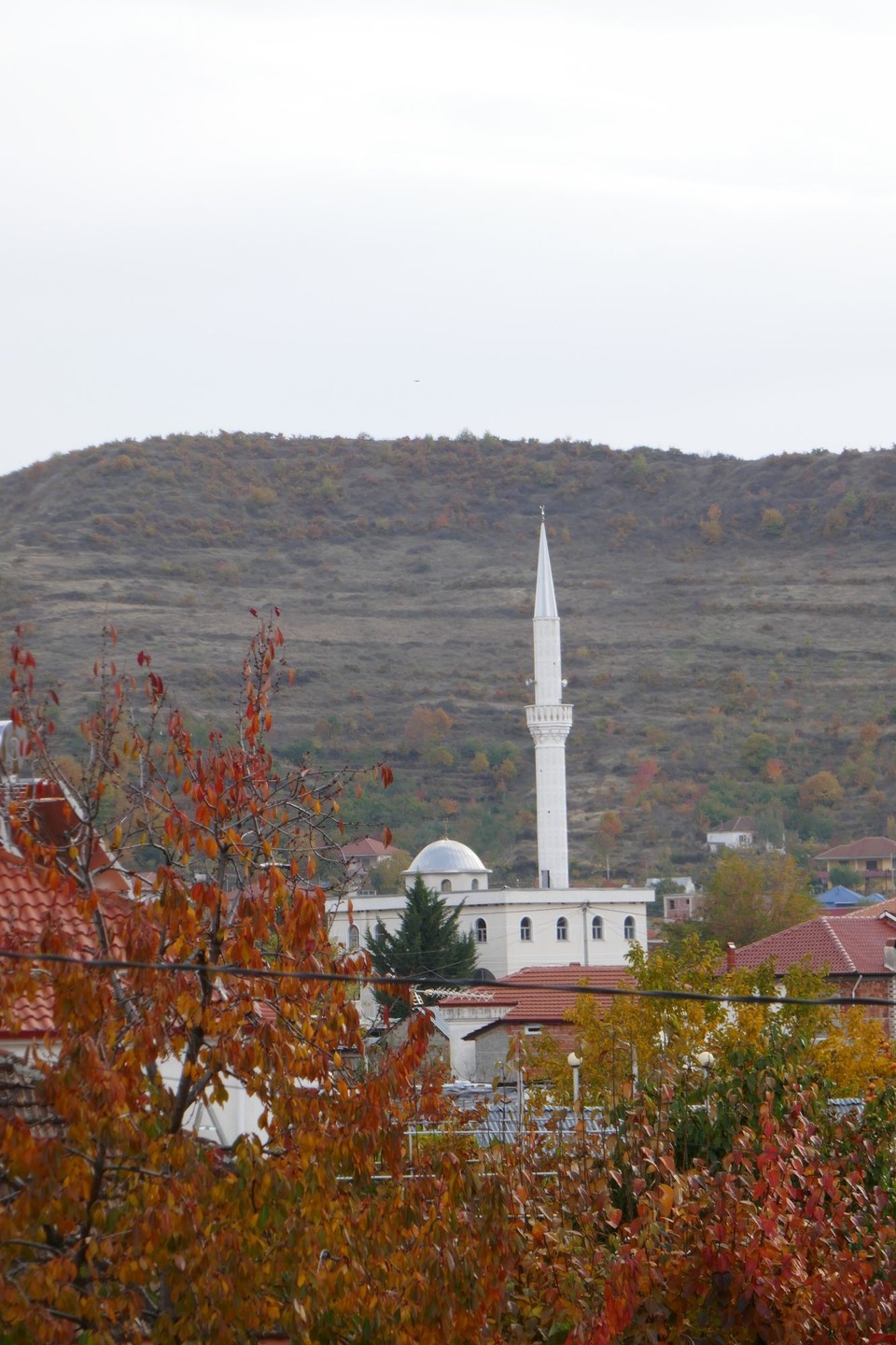 Albanien - Pogradec - 