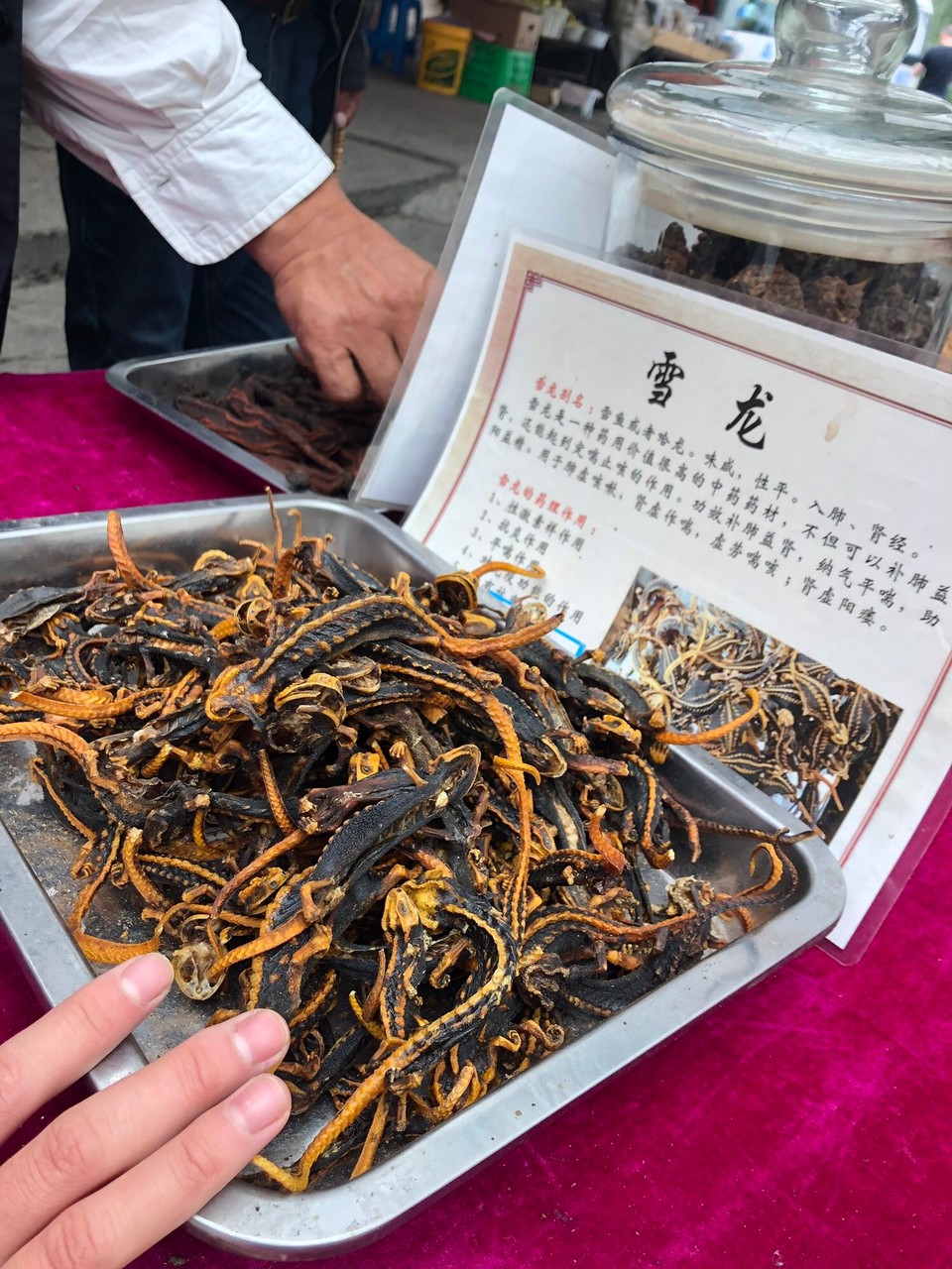 China - Aba - 