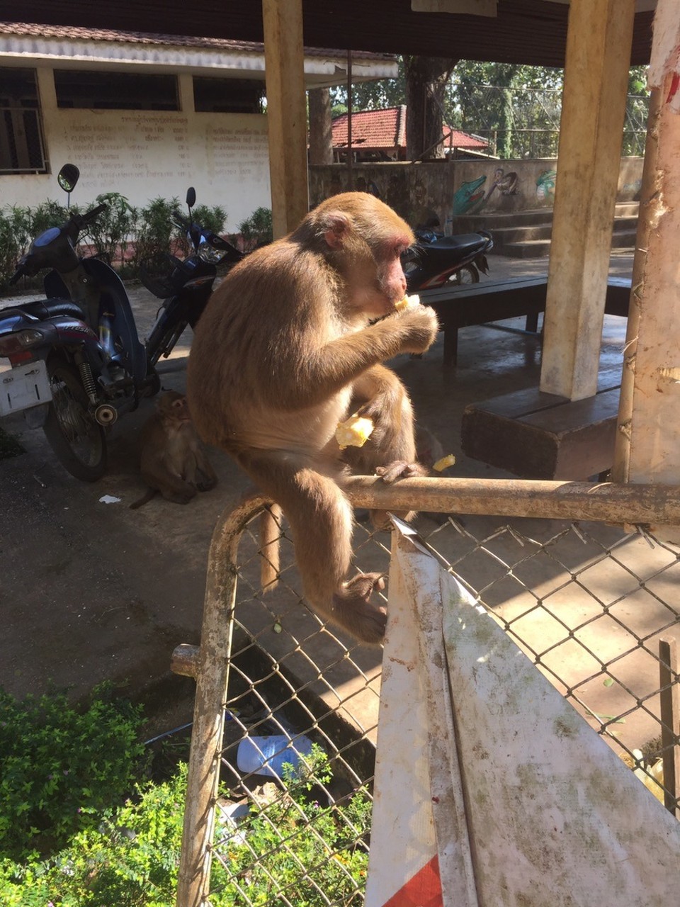 Thailand - Chiang Rai - 