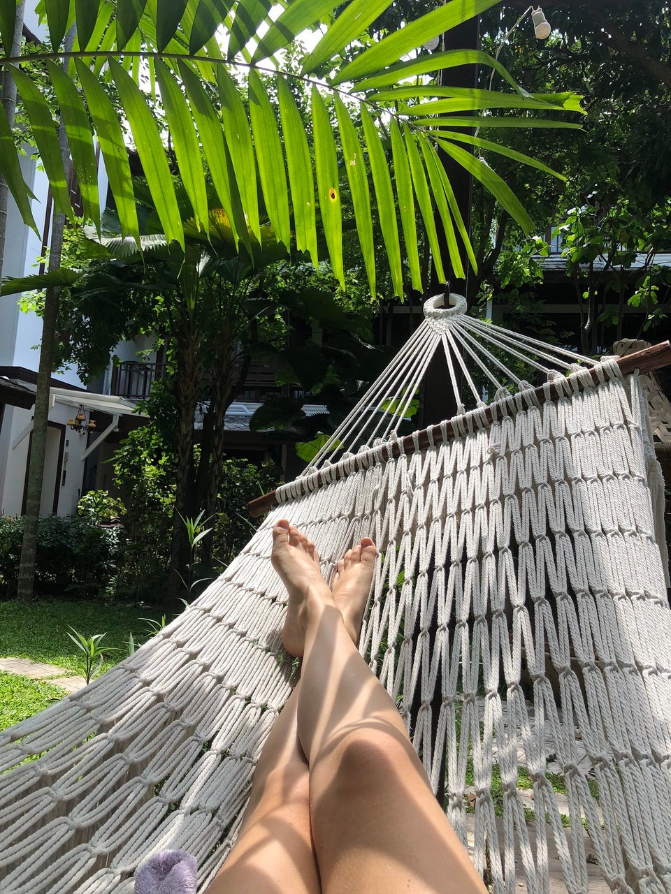 Thailand - Chiang Mai - 