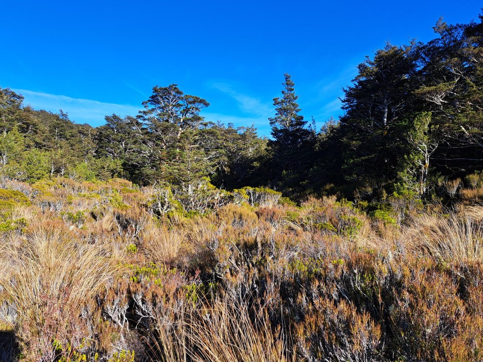Neuseeland - National Park Village - 