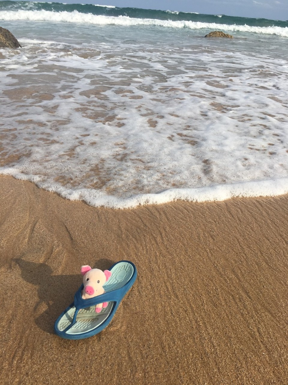 Australien - Malua Bay - Welle in Sicht! Ei äm rädi!!!!