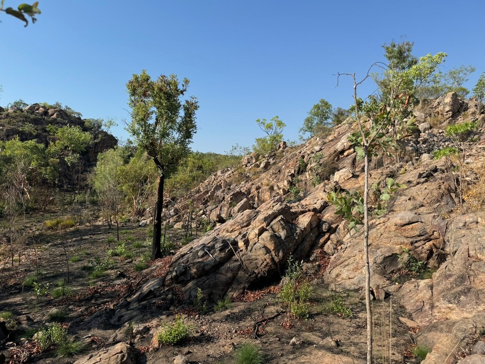 Australien - Litchfield Park - 