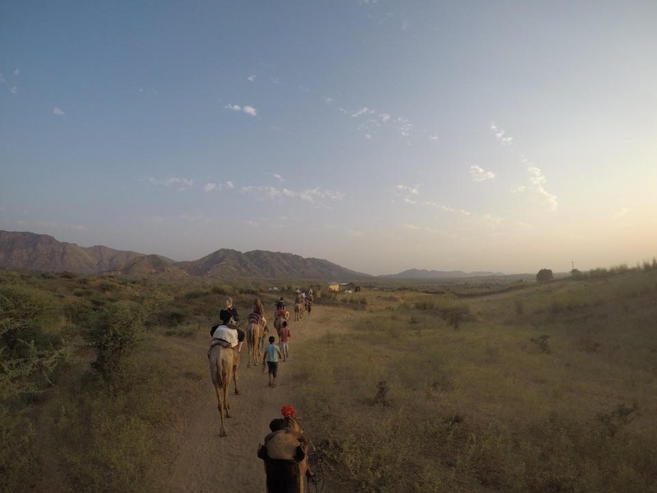 Indien - Pushkar - 