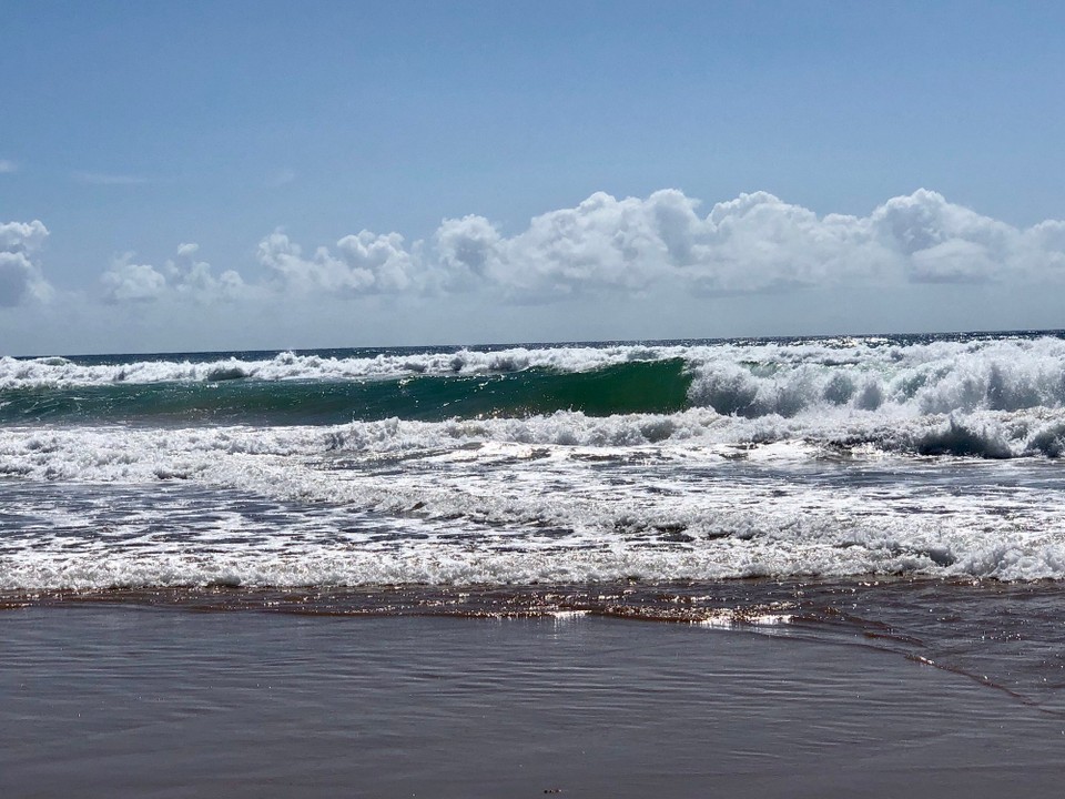 Brasilien - Praia do Forte - 