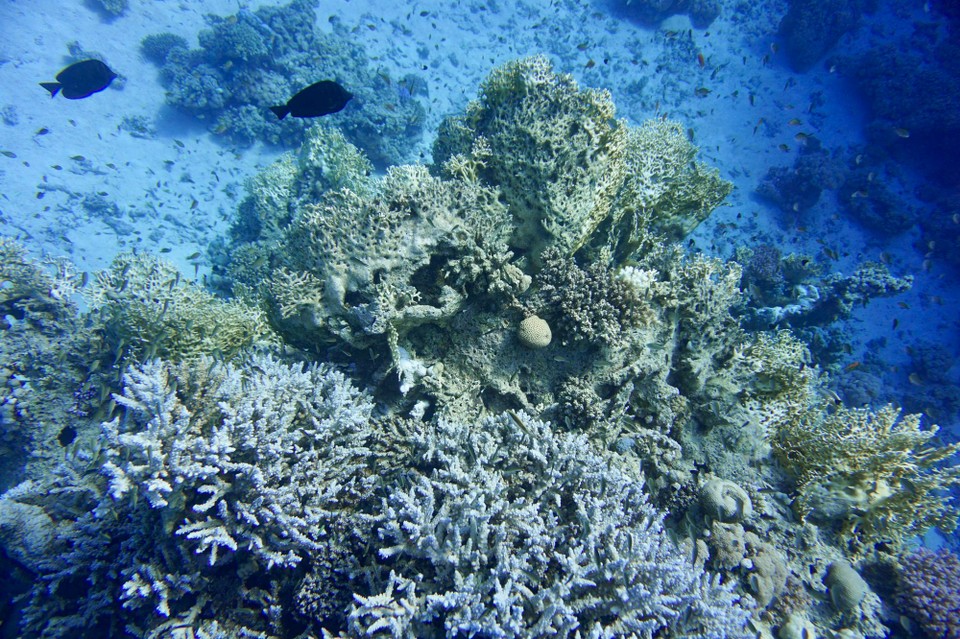 Ägypten - Marsa Alam - 