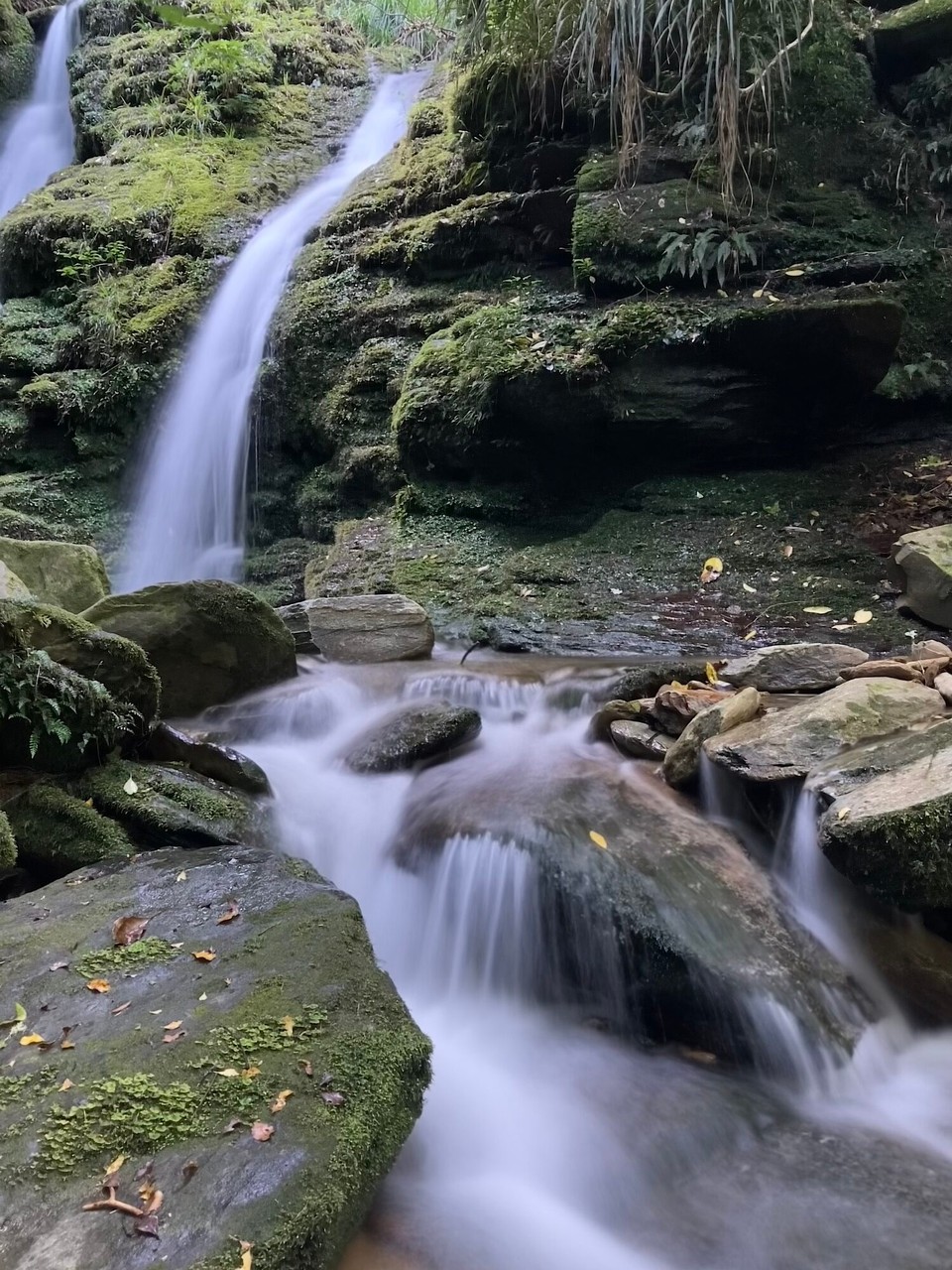 Neuseeland - Marlborough Sounds - 