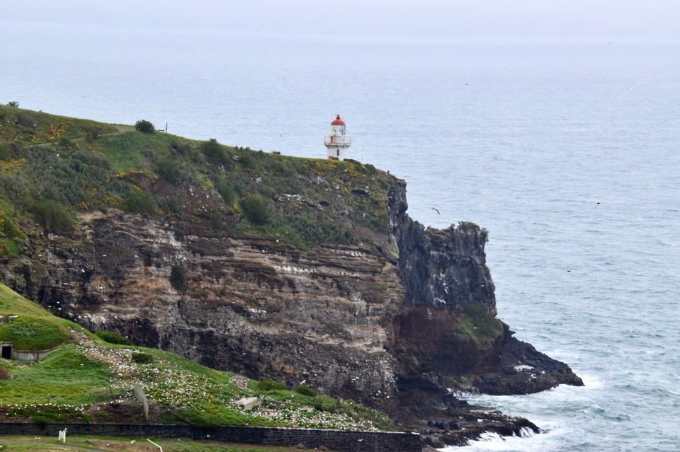 Neuseeland - Dunedin - Ganz an der Spitze der Halbinsel steht der Leuchtturm, und hier ist auch ein einzigartiger Platz.