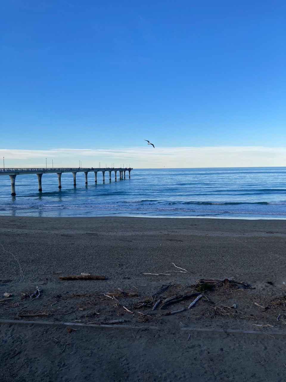 Neuseeland - Christchurch - 