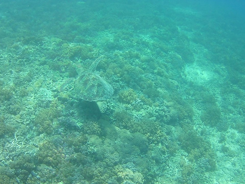Indonesien - Lombok Utara - 