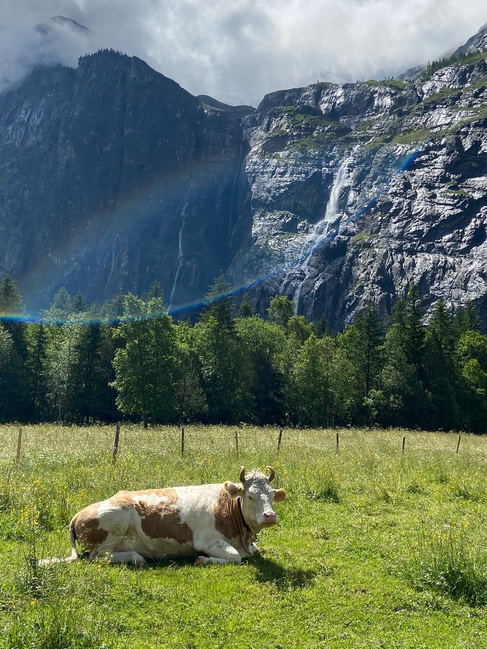 Schweiz - Kandersteg - 