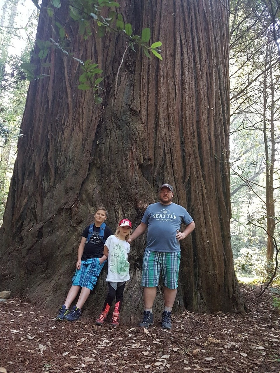 USA - Crescent City - 