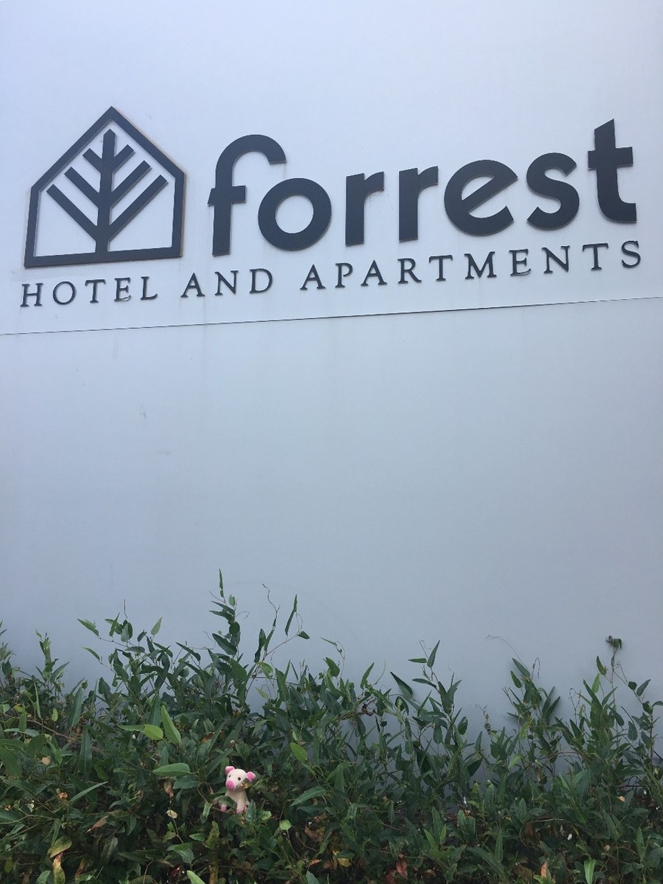 Australien - Canberra - Unser Hotel in Canberra