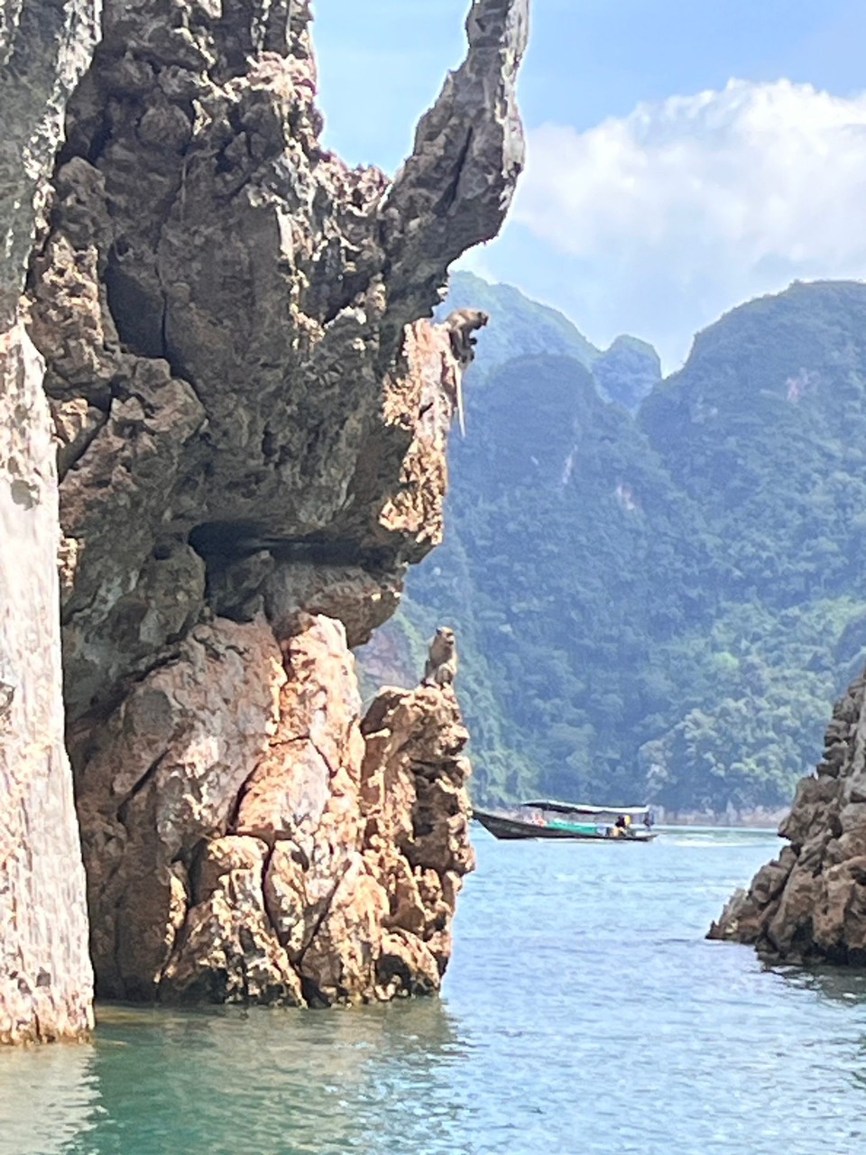 Thailand - Phanom - Hier springen Affen ins Wasser. Sehr witzig anzusehen.