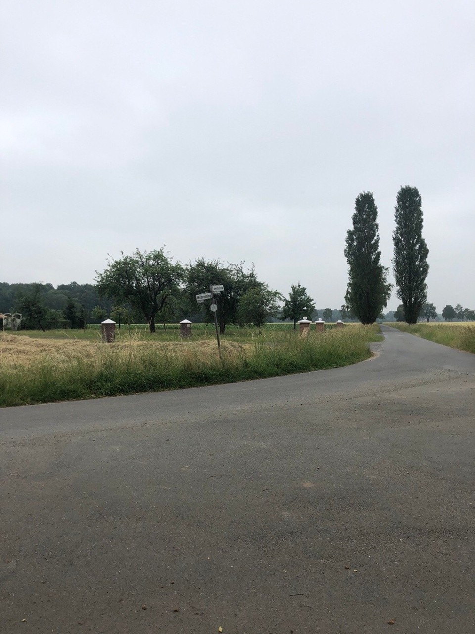 Deutschland - Ladbergen - Schön grün hier🍀