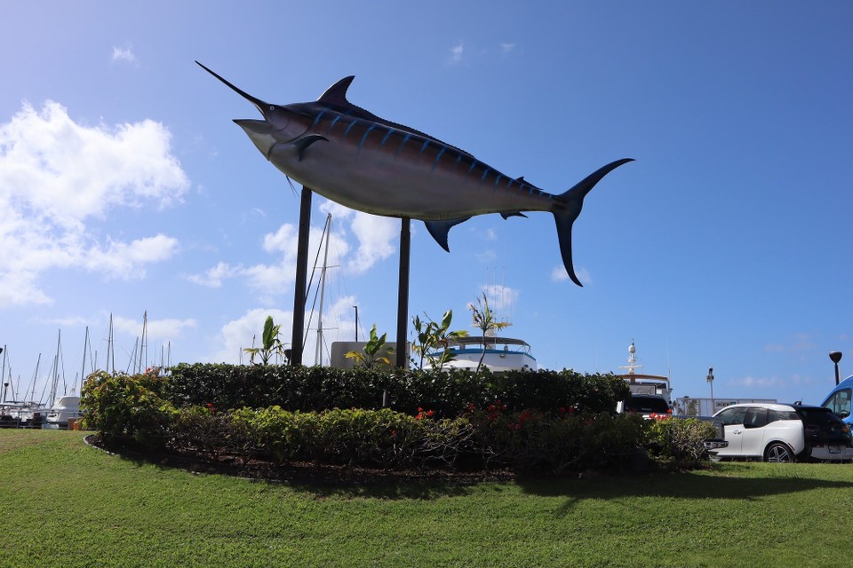 Vereinigte Staaten - Honolulu - 